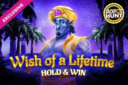 Wish of a Lifetime